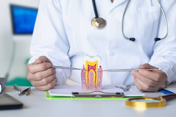 Best Emergency Dental Care for Broken or Chipped Teeth in Topeka, IN